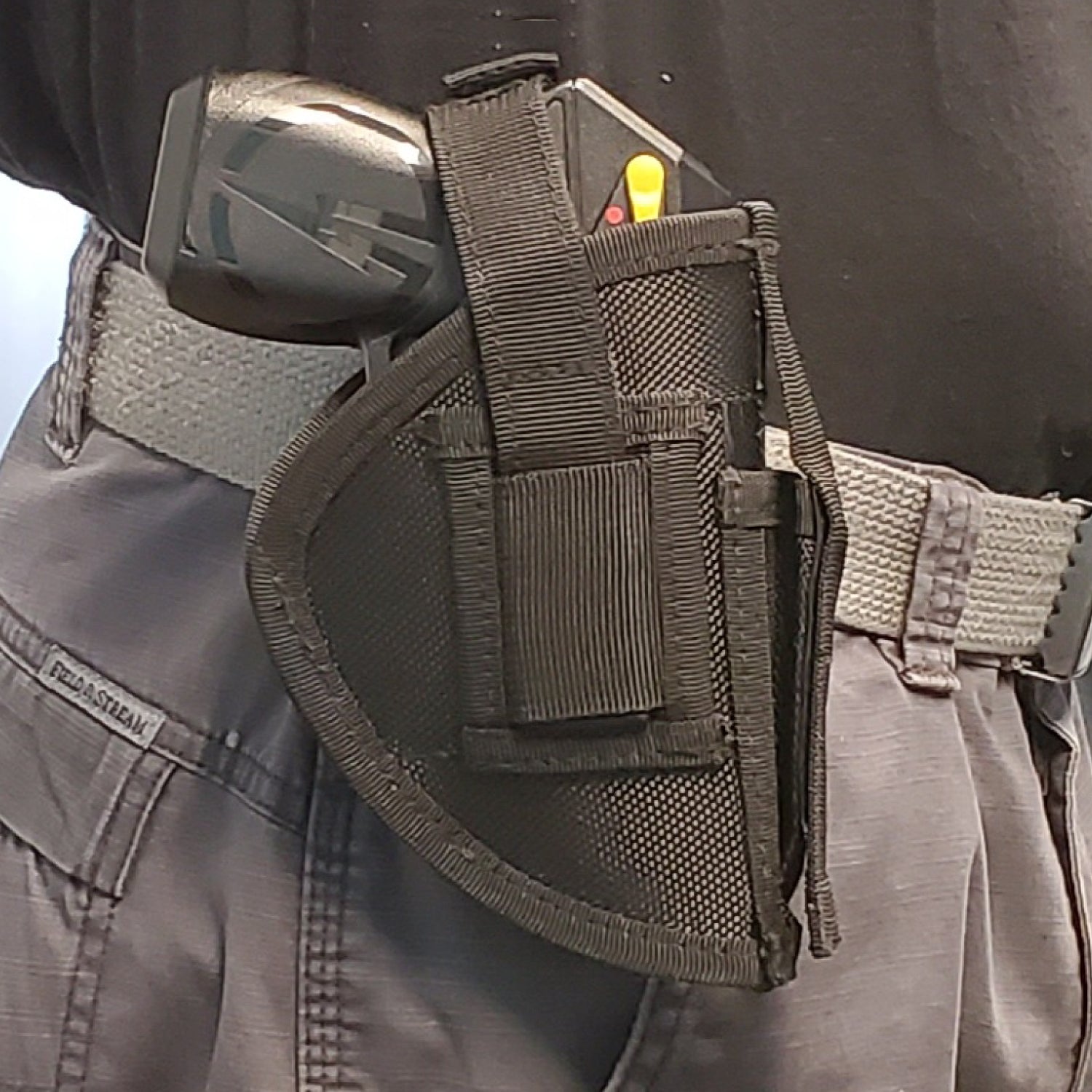 Taser Pulse/Pulse + Holster